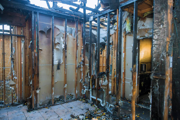 Professional Fire Damage Removal technician working in Gilbert, MN